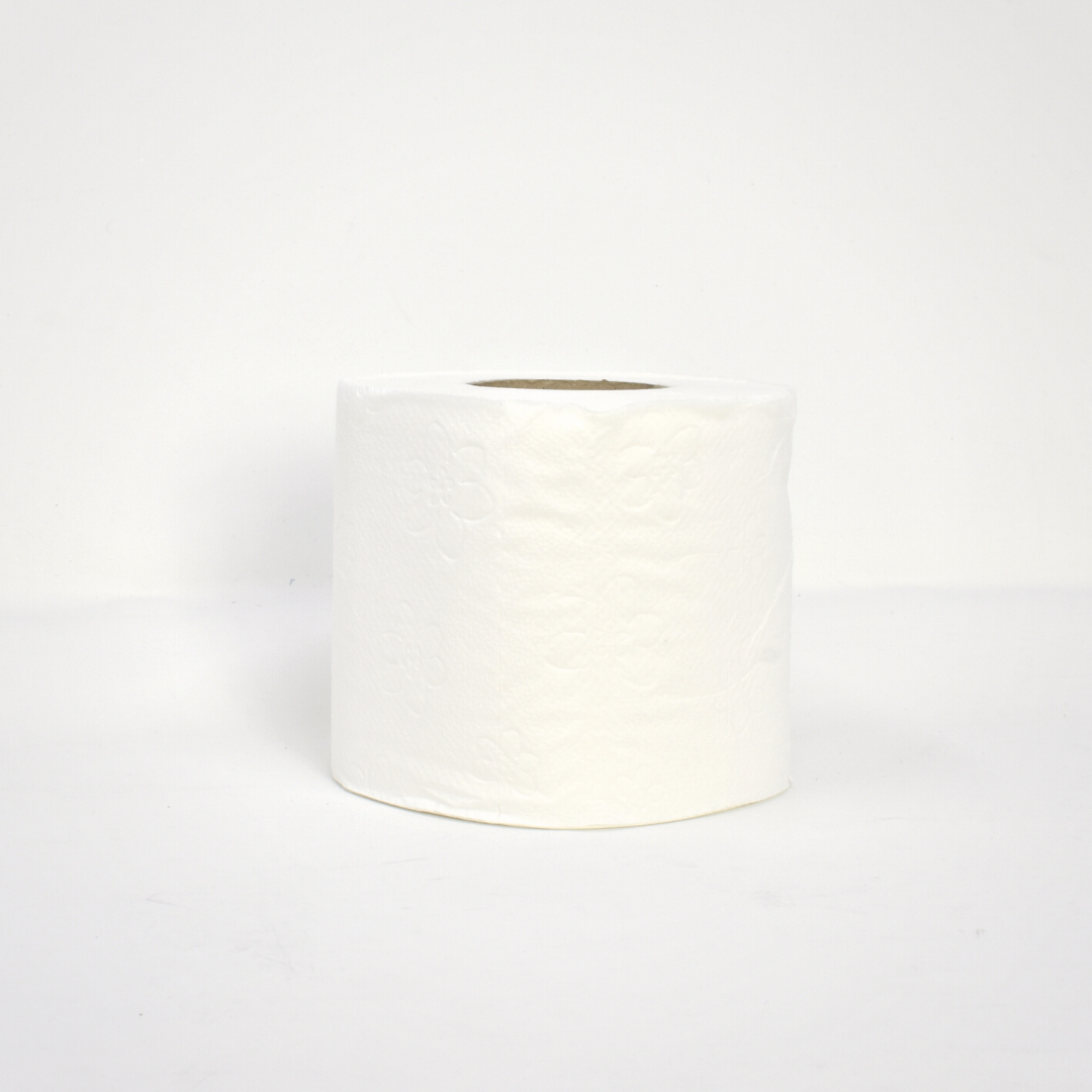 TOILET ROLL STANDARD 2PLY - 48 ROLLS